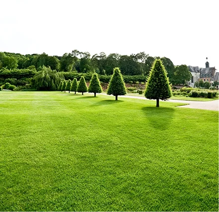 Jardin entretenu avec pelouse tondue à Wormhout par La Flam'Bûche