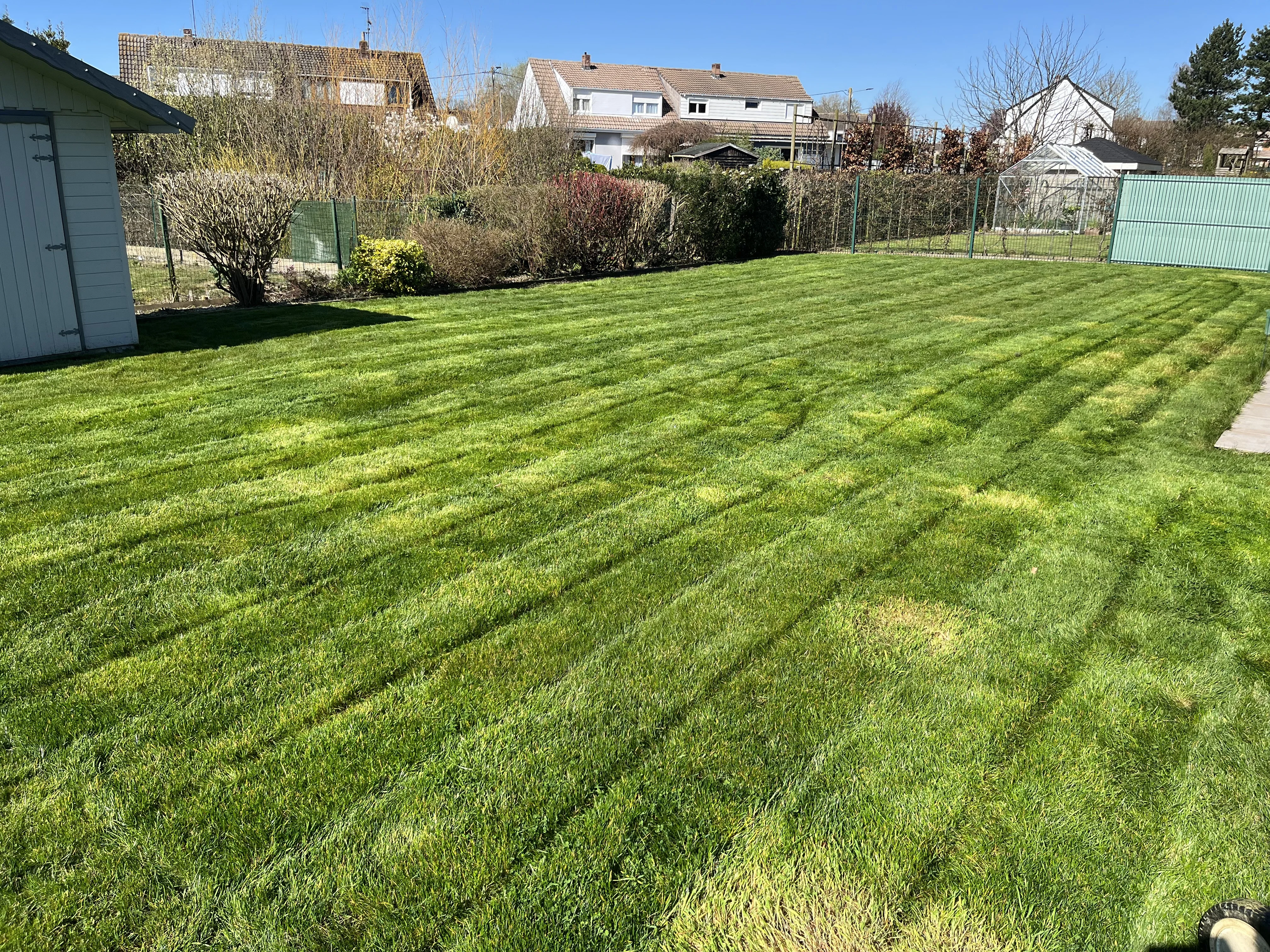 Jardin entretenu avec pelouse tondue à Wormhout par La Flam'Bûche
