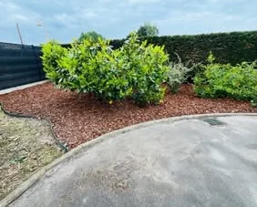 Massif fleuri paillé et entretenu dans un jardin des Flandres